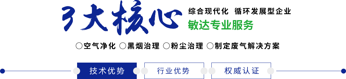 大黑吊操逼操逼操逼操逼操逼敏达环保科技（嘉兴）有限公司